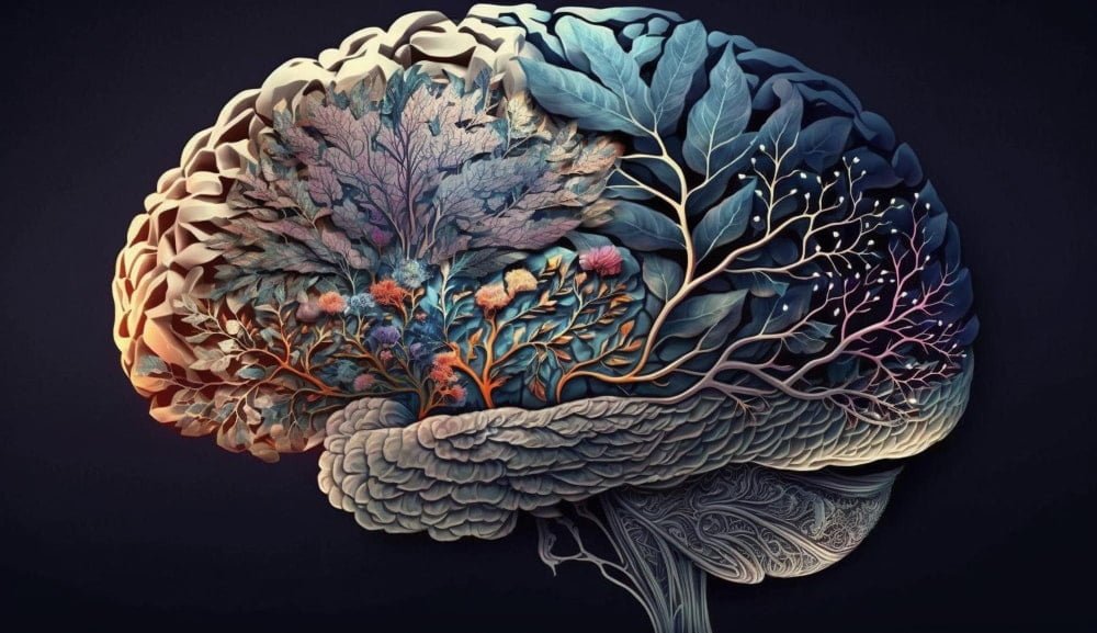 سیستم‌های عصبی بدن: ارتباط، عملکرد و اهمیت آن